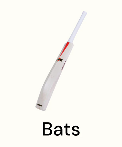 Bat_7ac18d28-6c91-4088-83c4-dcb7231aa3db