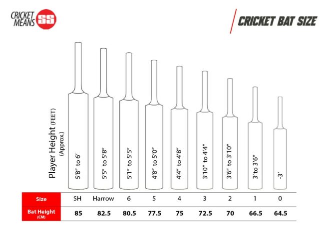 SS Master 5000 English Willow Cricket Bat - SH