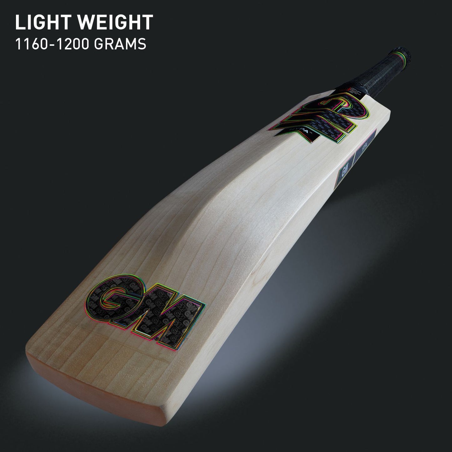 GM Hypa 303 English Willow Cricket Bat