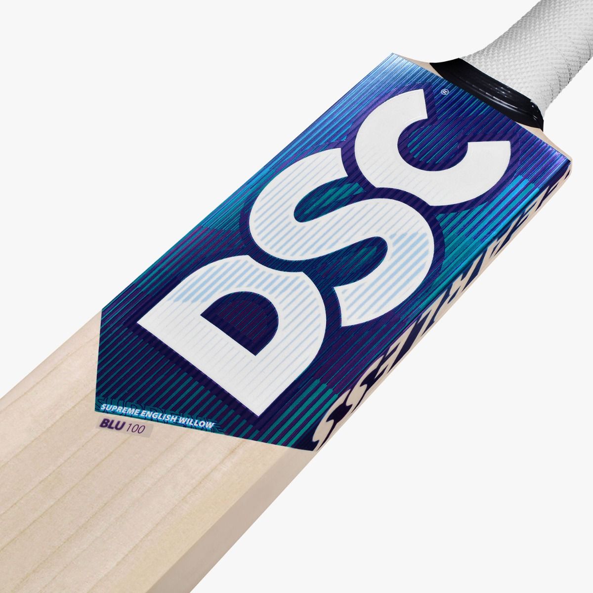 DSC BLU 100 English Willow Bat