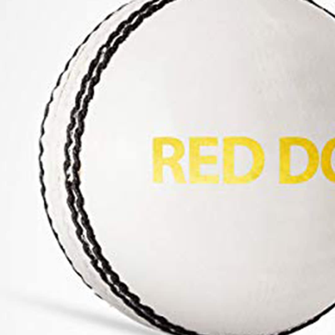 Cric Studio Canada DSC Red Dot leather ball with white surface and red dot design for sports and recreational play