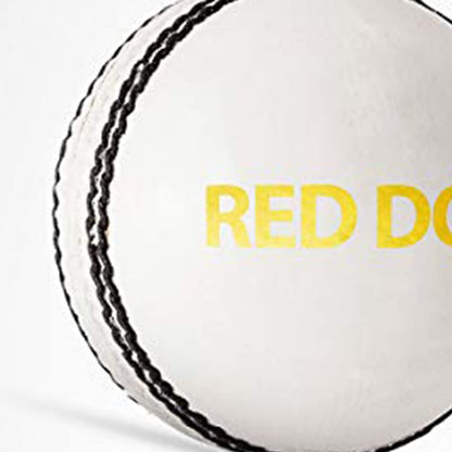 Cric Studio Canada DSC Red Dot leather ball with white surface and red dot design for sports and recreational play