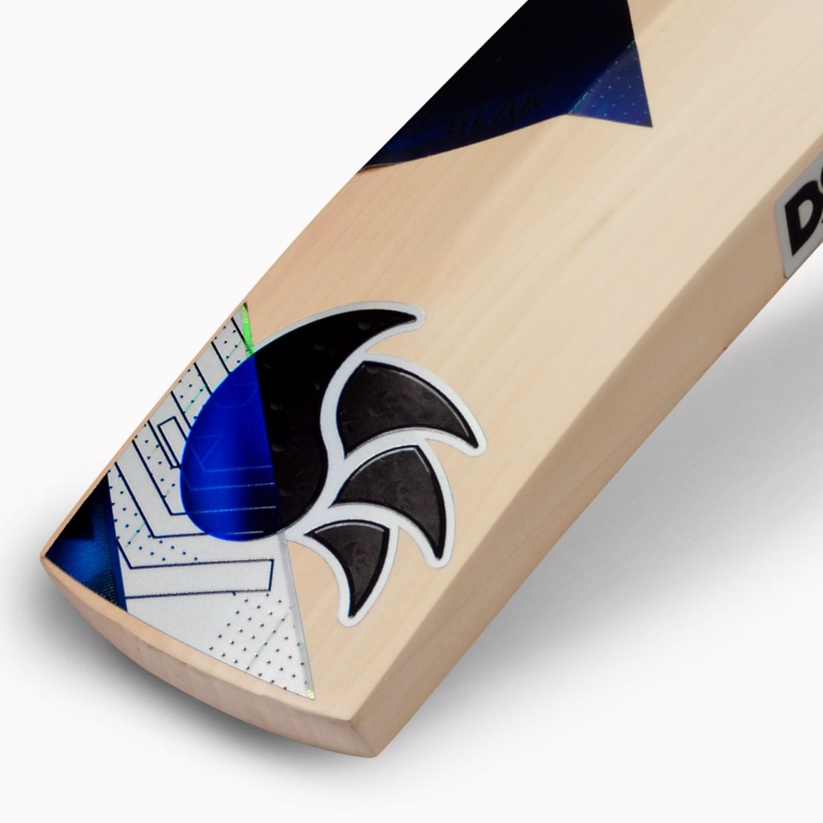 DSC BLAK 100 English Willow Bat