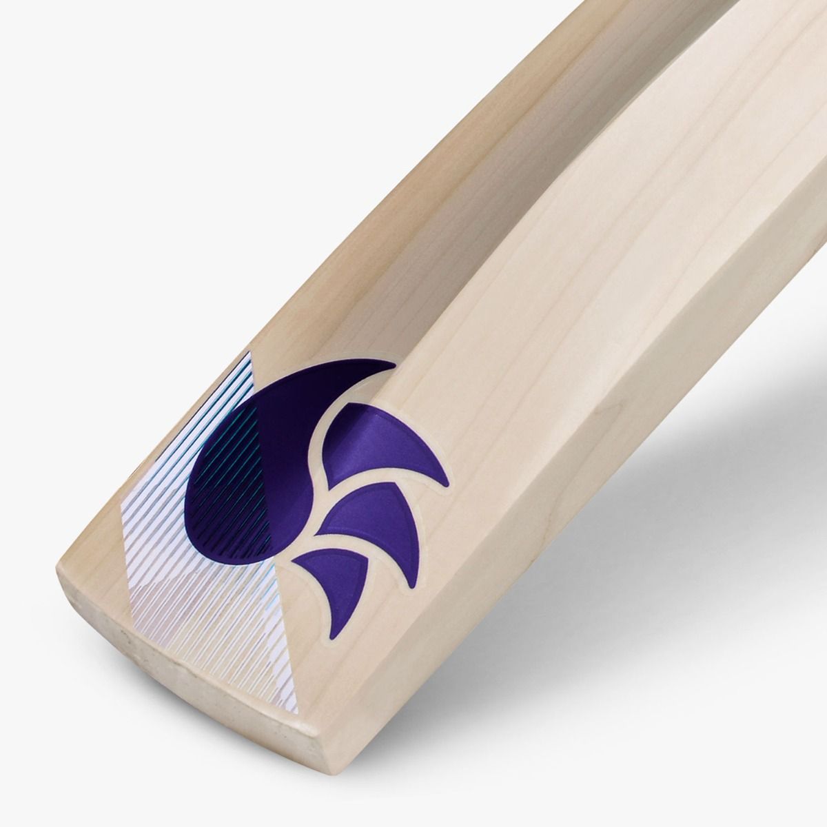 DSC BLU 100 English Willow Bat