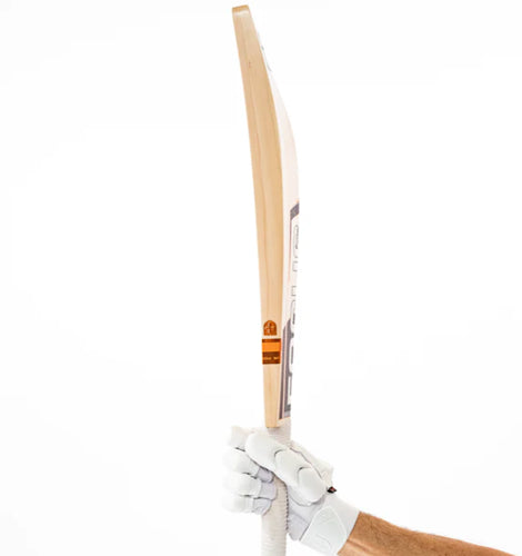 Focus Rival Performance English Willow Cricket Bat by Cric Studio Canada with a polished wooden blade and grip handle.