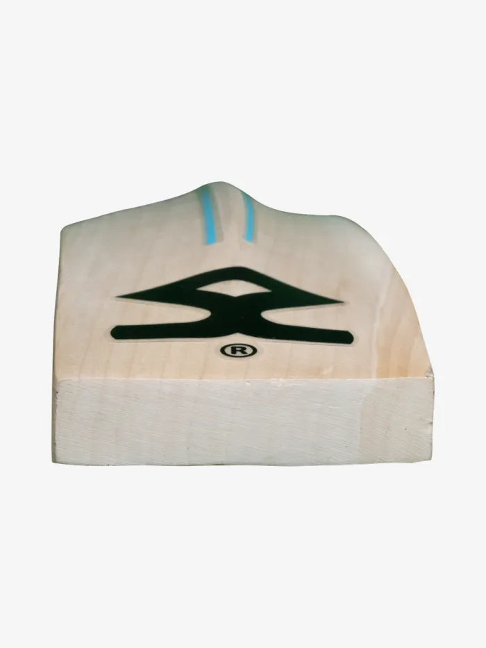 Cricket kitbag with Shrey Star cricket bat, helmet, and accessories in steel blue-red by Cric Studio Canada, designed for young players.