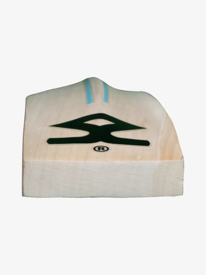 Cricket kitbag with Shrey Star cricket bat, helmet, and accessories in steel blue-red by Cric Studio Canada, designed for young players.