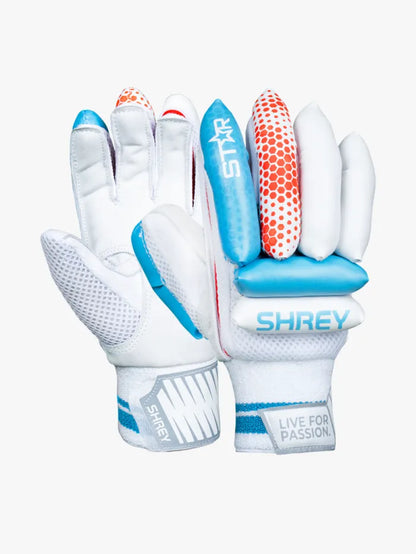 Cric Studio Canada Shrey Star cricket kitbag with steel blue-red gloves, helmet, and full cricket set inside.
