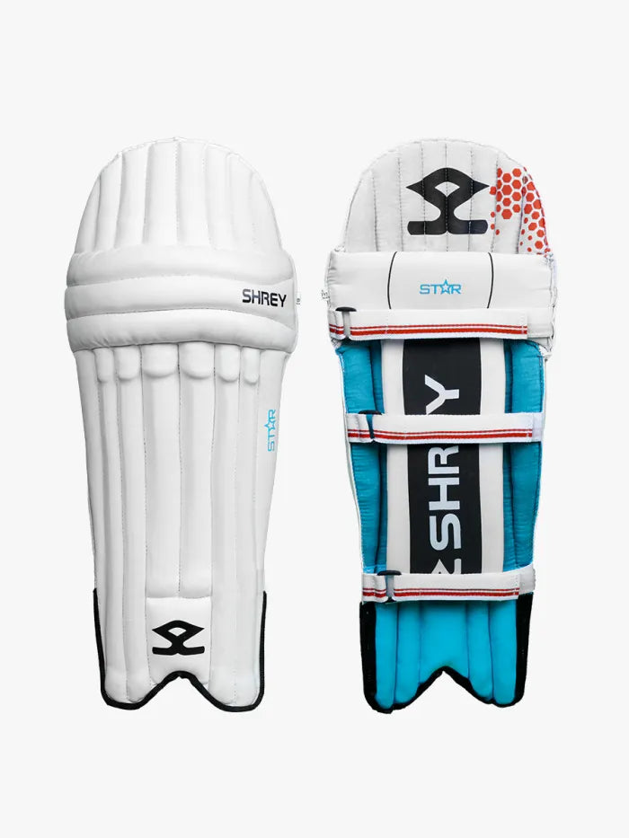 Cricket kitbag with Shrey Star cricket set, including helmet, leg guards, and protective gear in steel blue and red from Cric Studio Canada