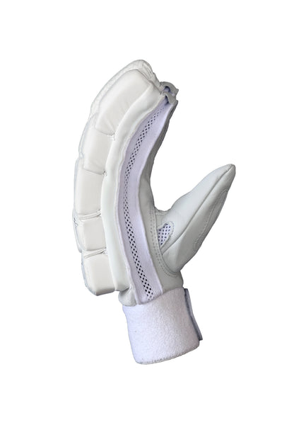 Cric Studio Canada SS B/G TON PRO 1.0 MRH batting legguards shown from the side, featuring protective padding and adjustable straps.