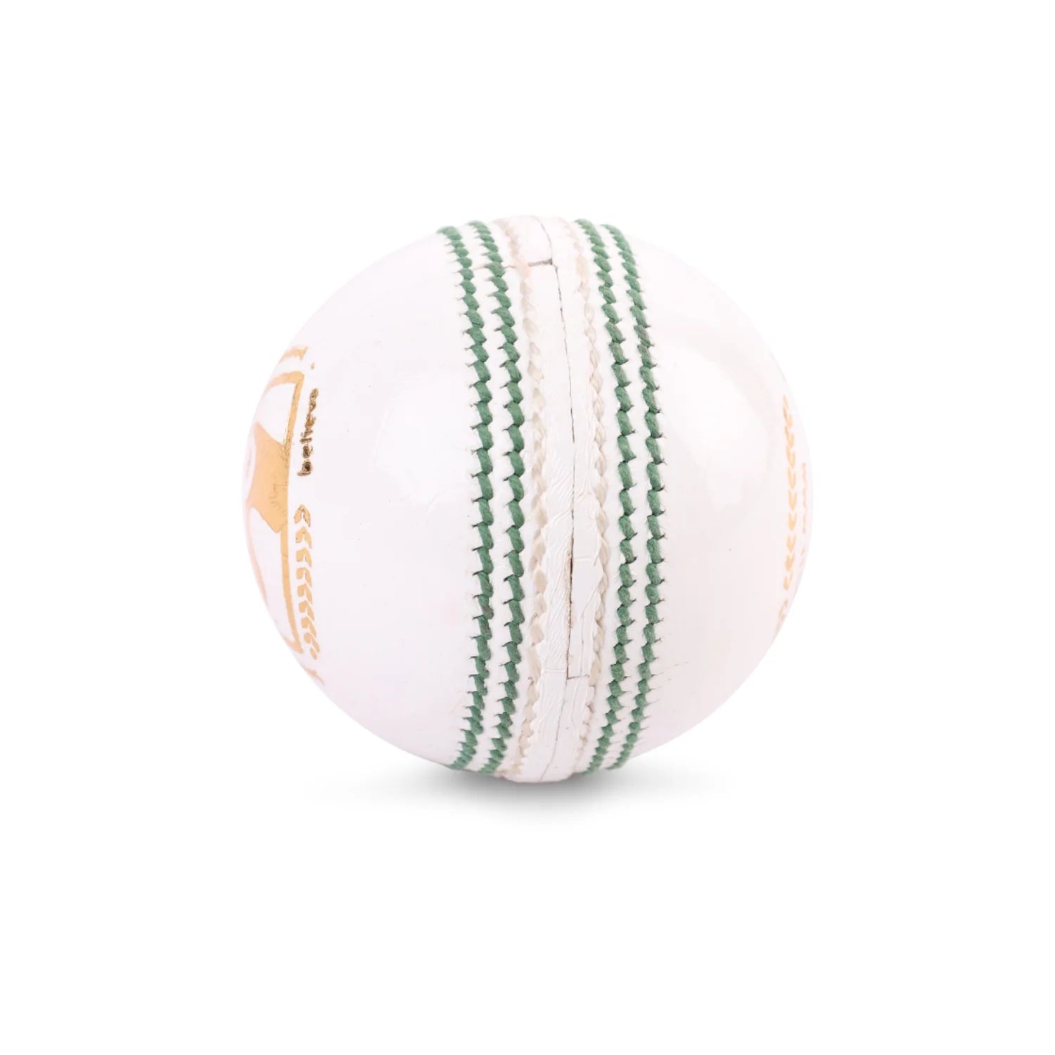 Cric Studio Canada SG Tournament Cricket Leather Ball showing close-up of polished leather surface and branding details