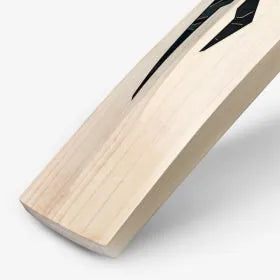 DSC BLAK 350 English Willow Bat