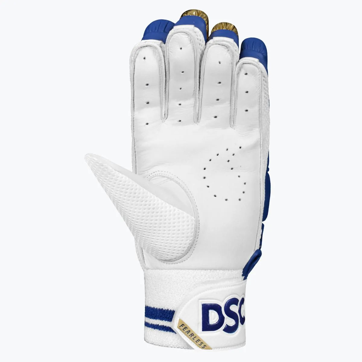 Black DSC Strike 20/20 batting gloves by Cric Studio Canada with padded palms and finger protection for cricket players.