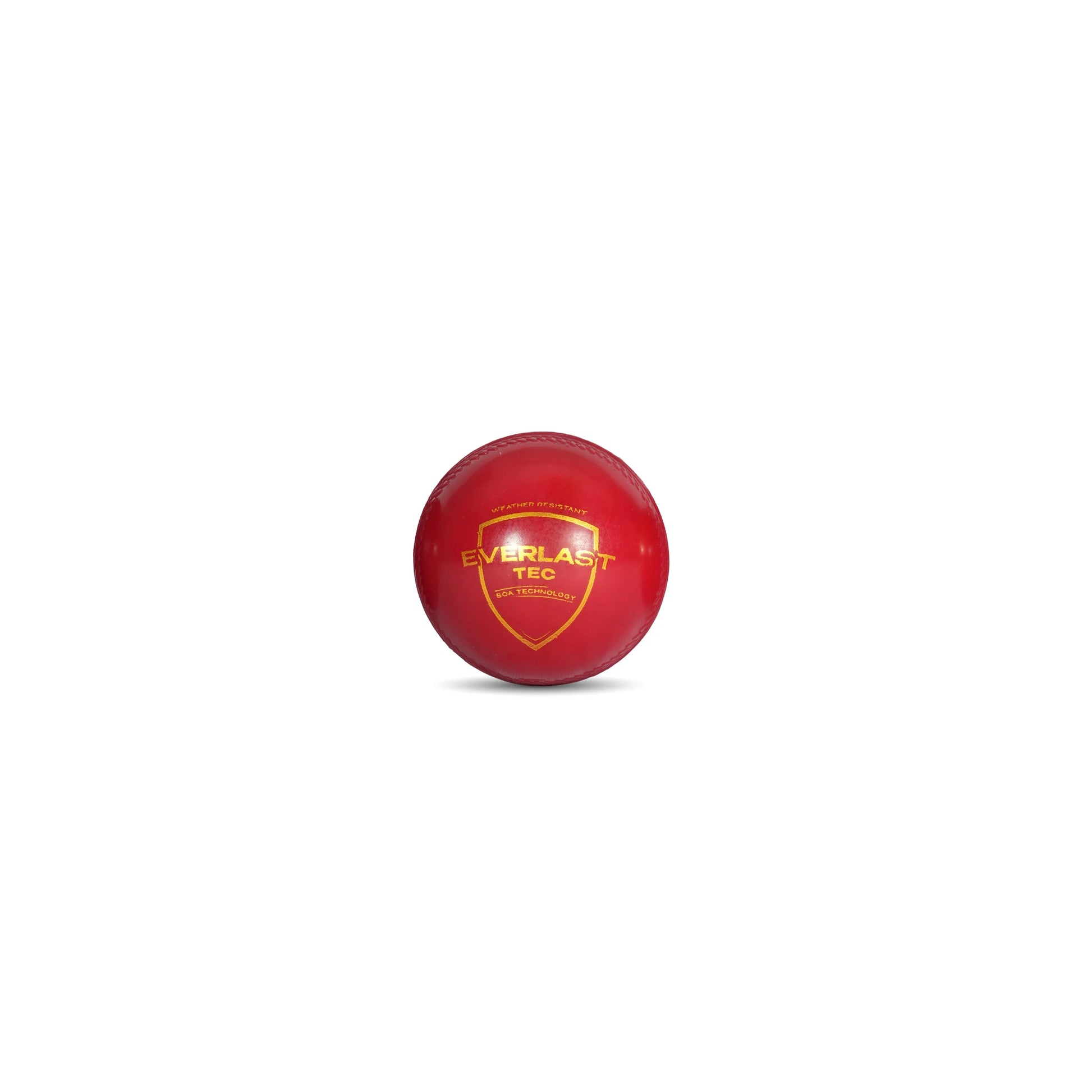 Cric Studio Canada SG Everlast Tec synthetic cricket ball, designed for tennis play, shown in black with branding details.