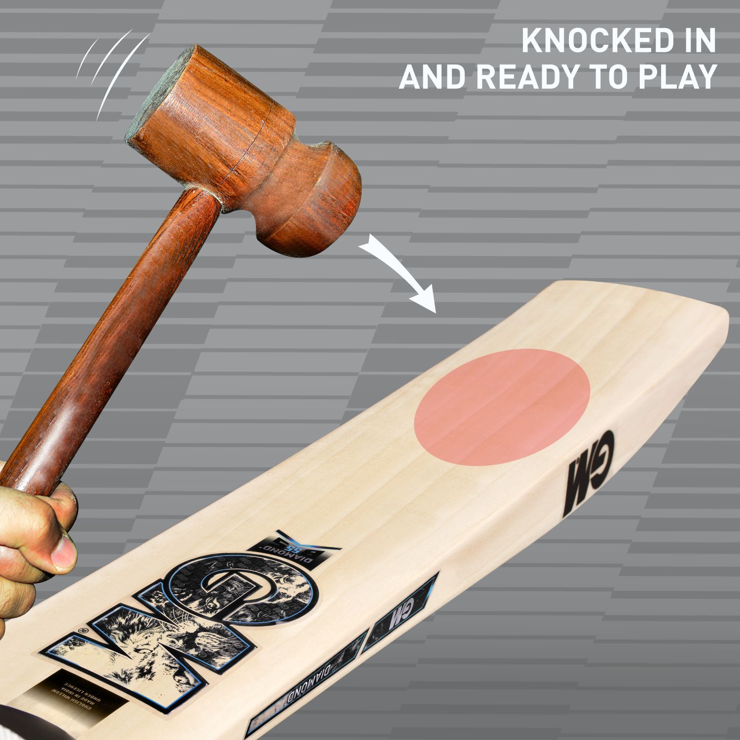 GM Diamond 555 English Willow Cricket Bat by Cric Studio Canada, showing a close-up of the bat's handle and blade with detailed grain.