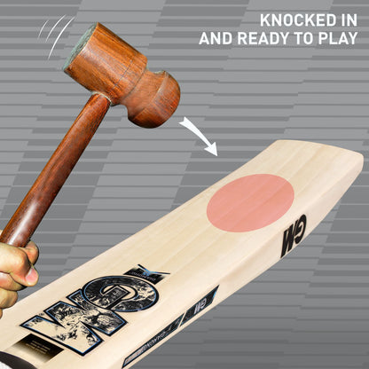 GM Diamond 555 English Willow Cricket Bat by Cric Studio Canada, showing a close-up of the bat's handle and blade with detailed grain.