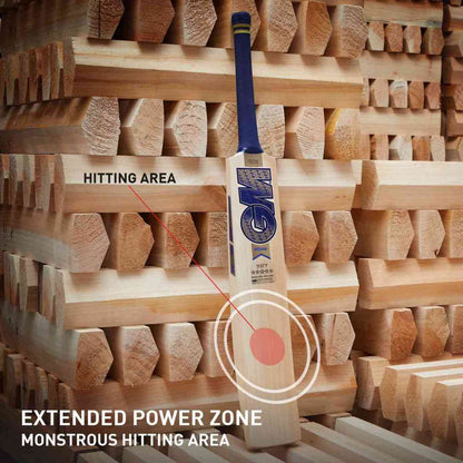 Cric Studio Canada GM 707 Brava English Willow cricket bat with signature design and polished wood finish.