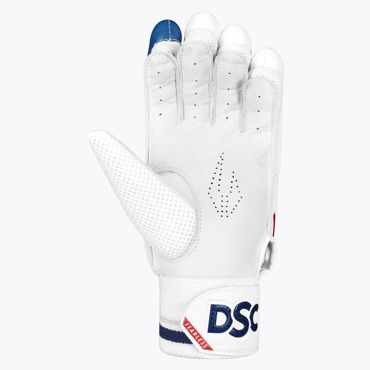 Blue and red DSC Rave batting gloves by Cric Studio Canada with padded palms and adjustable wrist straps for cricket players.