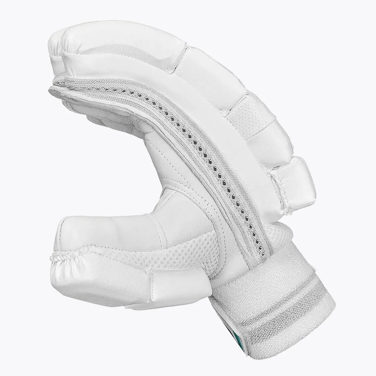Cric Studio Canada DSC Cynos 2020 batting gloves, black and white cricket gloves with padded palms and finger protection.