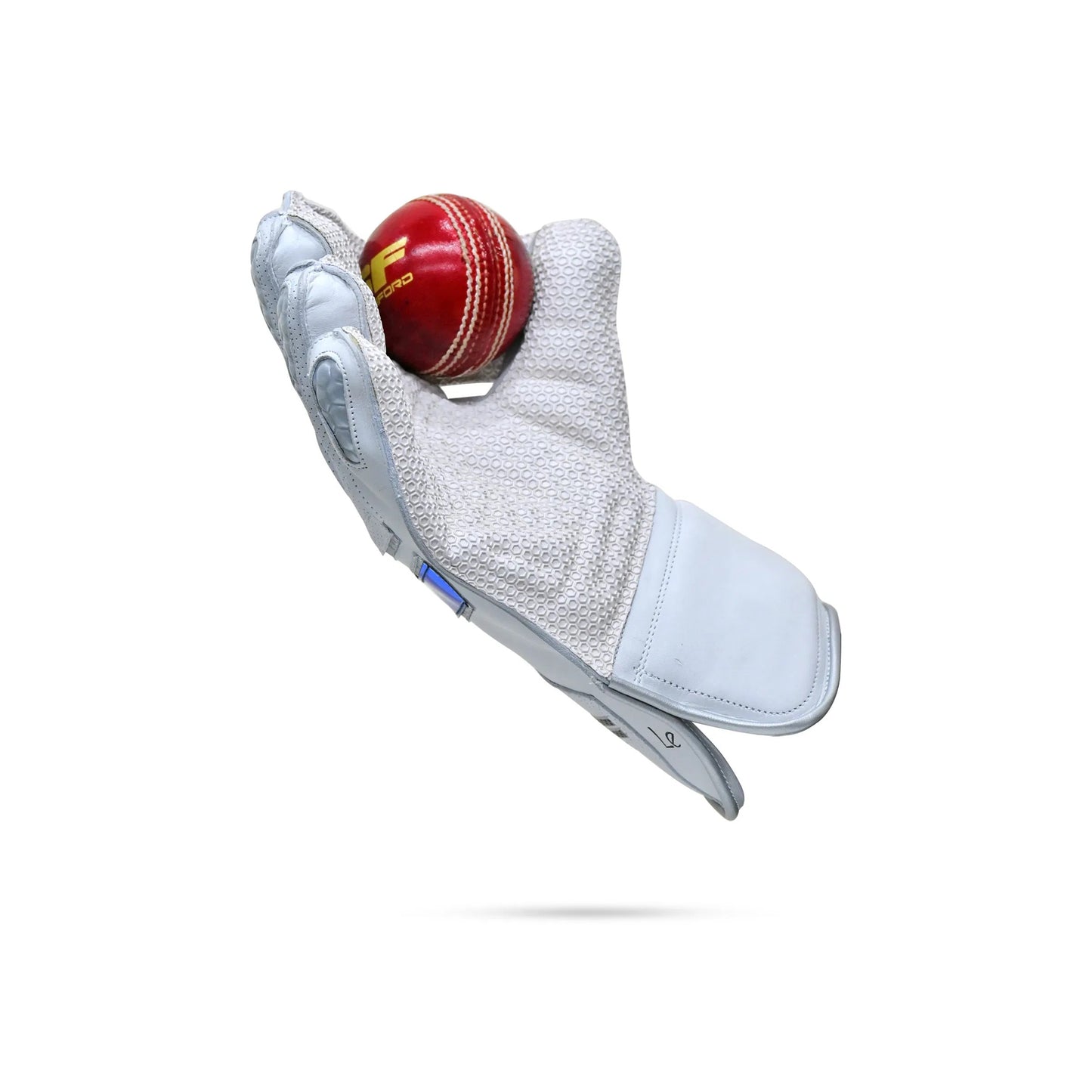 Cric Studio Canada SF Limited Edition wicketkeeping gloves with padded palms and adjustable wrist straps.