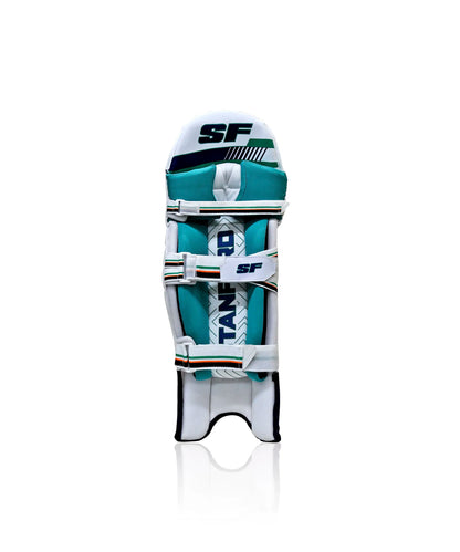 Cric Studio Canada SF Power Bow 7 batting legguards showing padded back and leg protection for cricket players.
