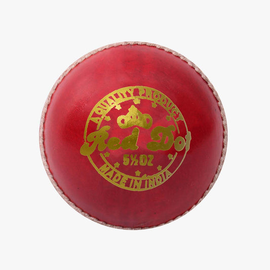 DSC Red Dot Leather Ball